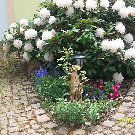 Giesis Wohlfuehloase Διαμέρισμα Döbeln Εξωτερικό φωτογραφία